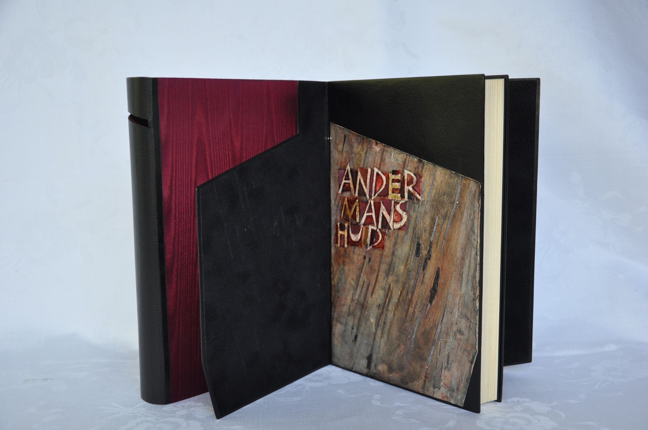 ANNA LINSSEN   Aanton Koolhaas  Andermans huid