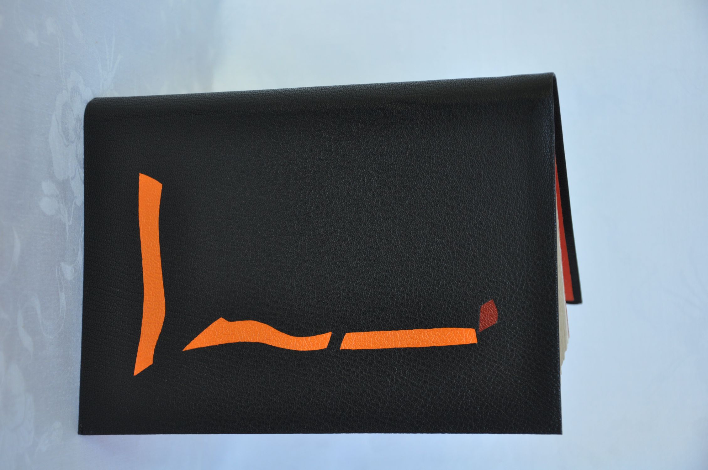 FABIENNE HEIRWEGH   Prince de Ligne   Ma Napoléonide