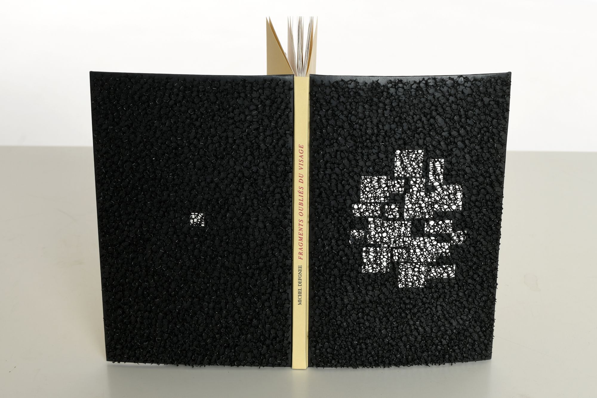 UTE KAHL   Michel defgnée   Fragments oubliés du visage