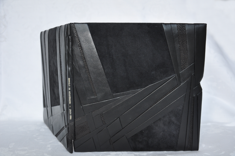 BRIGITTE RICOU      Yves Peyré  Propagation de l’ombre