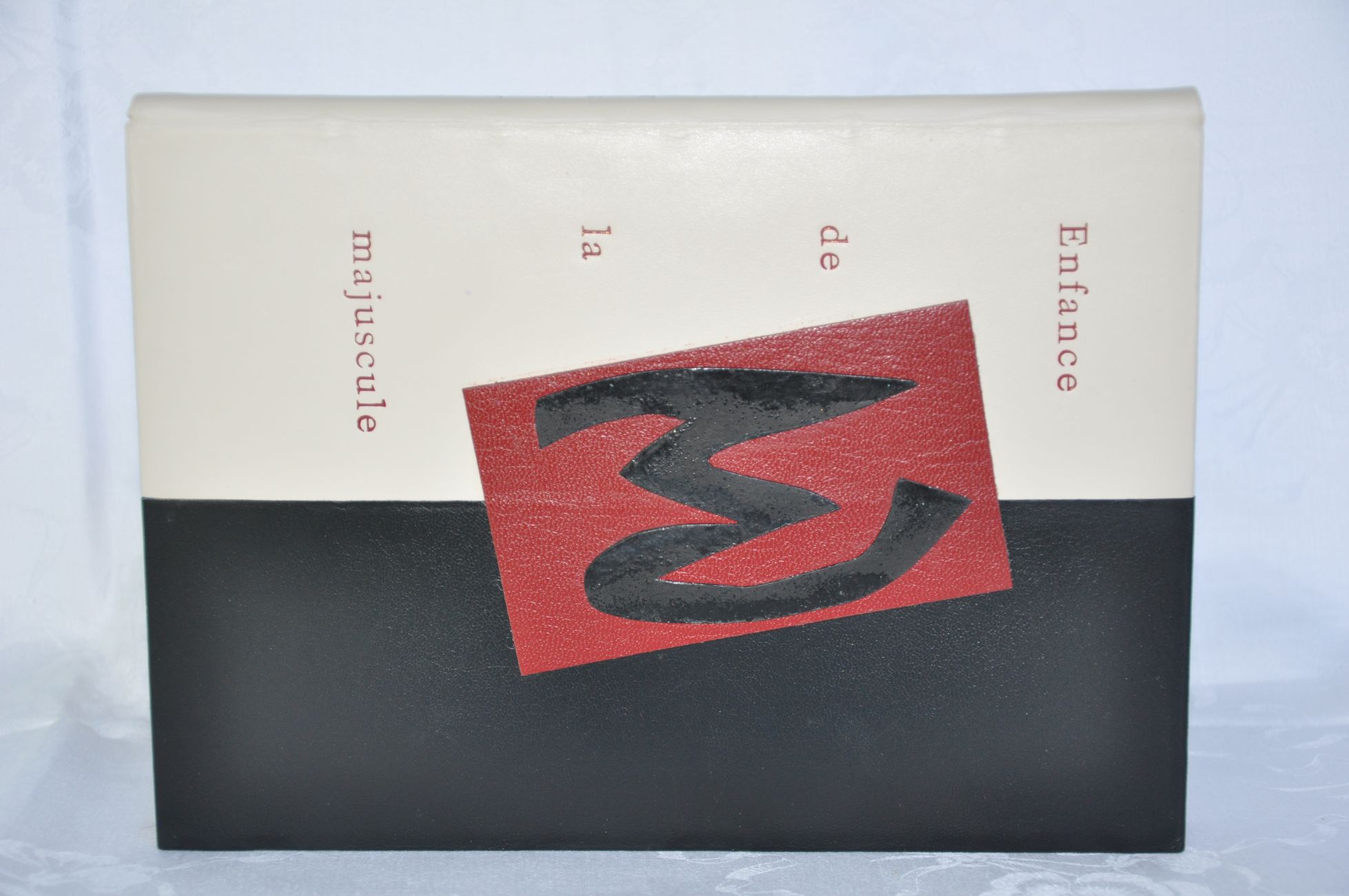 NATHALIE FAYEIN   Pierre Alechinsky et Dominique Radrizza Enfance de la majuscule