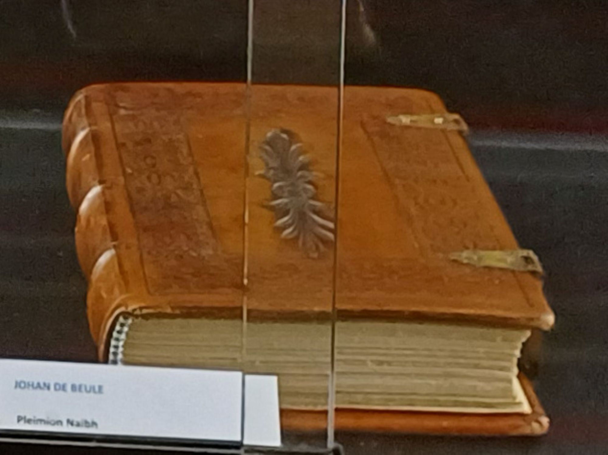 JOHAN DE BEULE   pleimion Naibhn  Zannekin en de vrijheidsstrijd van het kustland