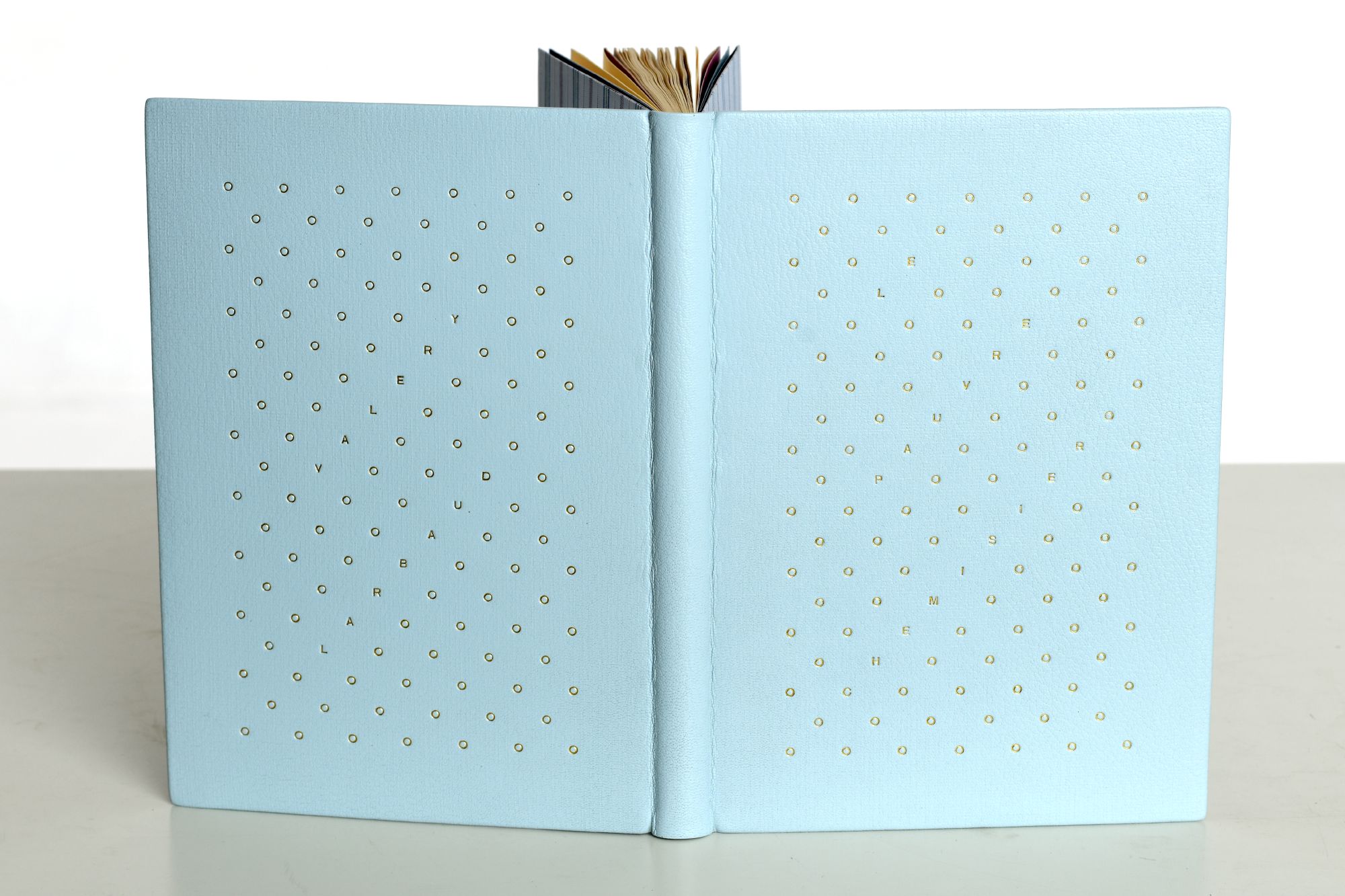 JULIETTE AMIGUES    Larbaux Valery Le pauvre chemisier